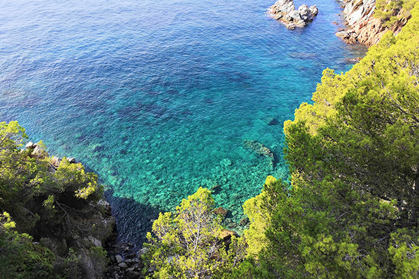 Lloret-2 Lloret-2
